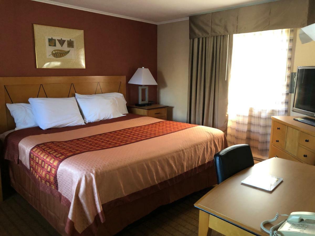Wilbraham Inn Ludlow Kültér fotó